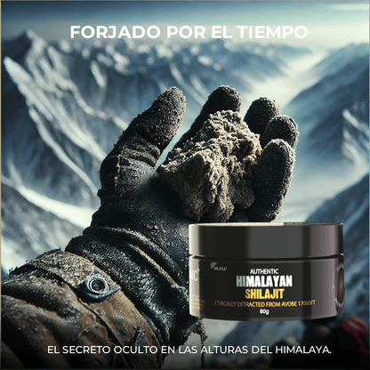 SHILAJIT ORIGINAL HIMALAYA 80Gr + ENVIO GRATIS A TODO CHILE