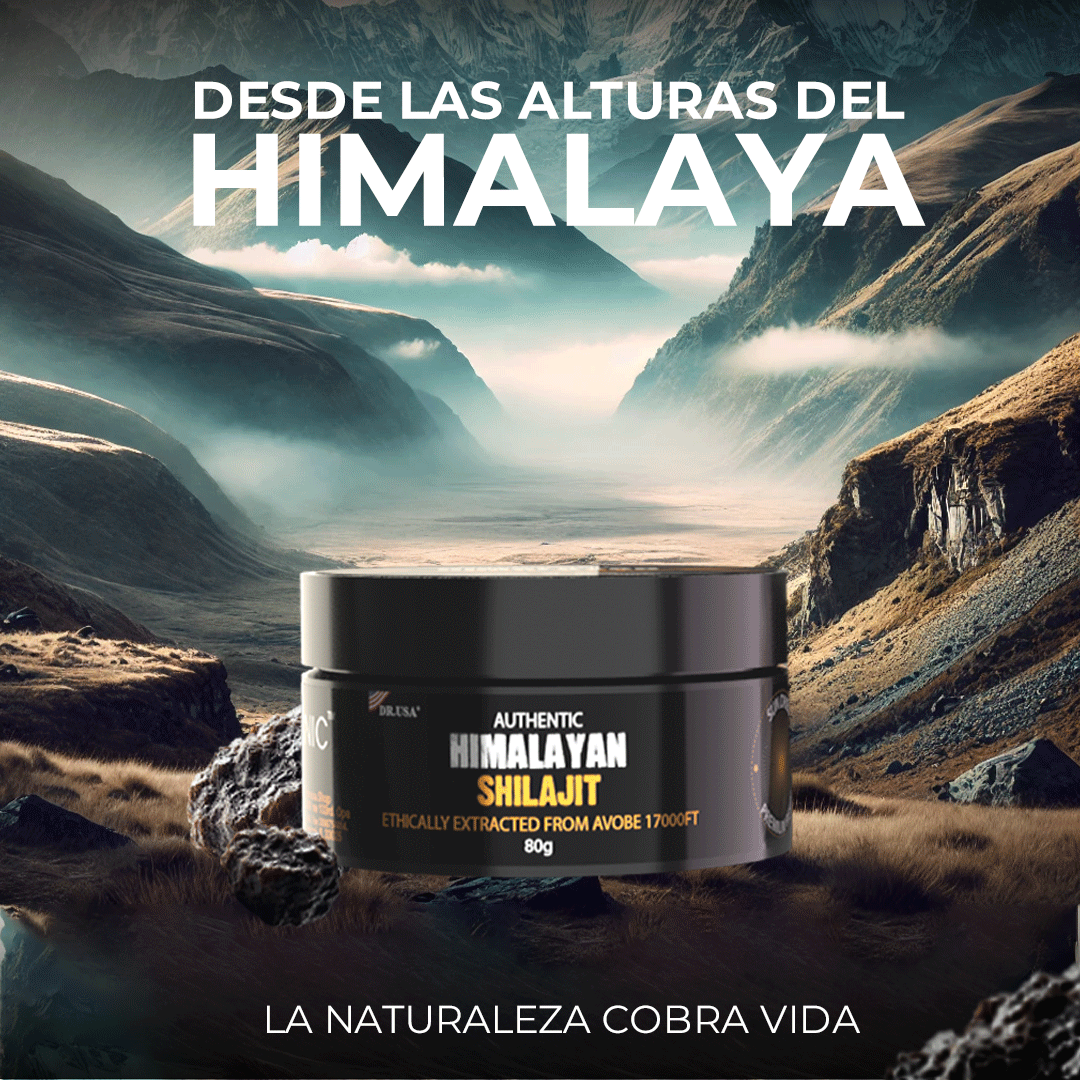 SHILAJIT ORIGINAL HIMALAYA 80Gr + ENVIO GRATIS A TODO CHILE